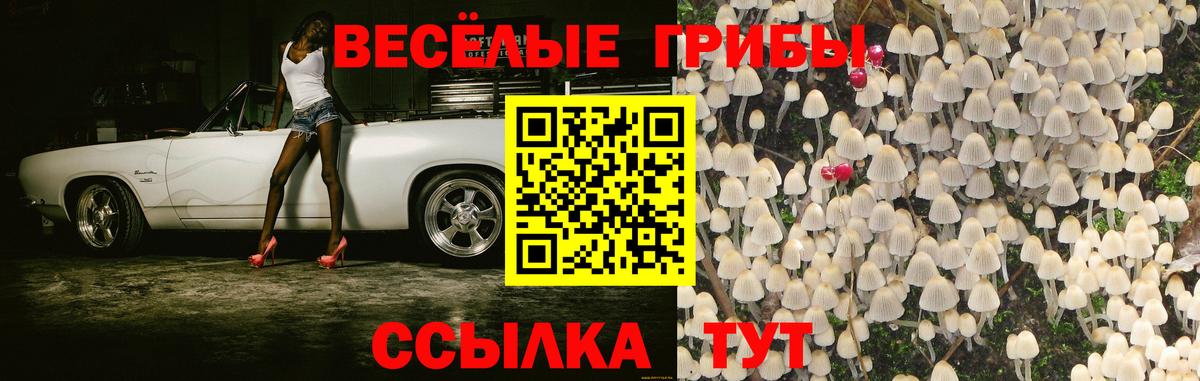 Псилоцибиновые грибы прущие грибы  Вход с VPN  Тейково  цена   Псилоцибиновые грибы GOLDEN TEACHER 
